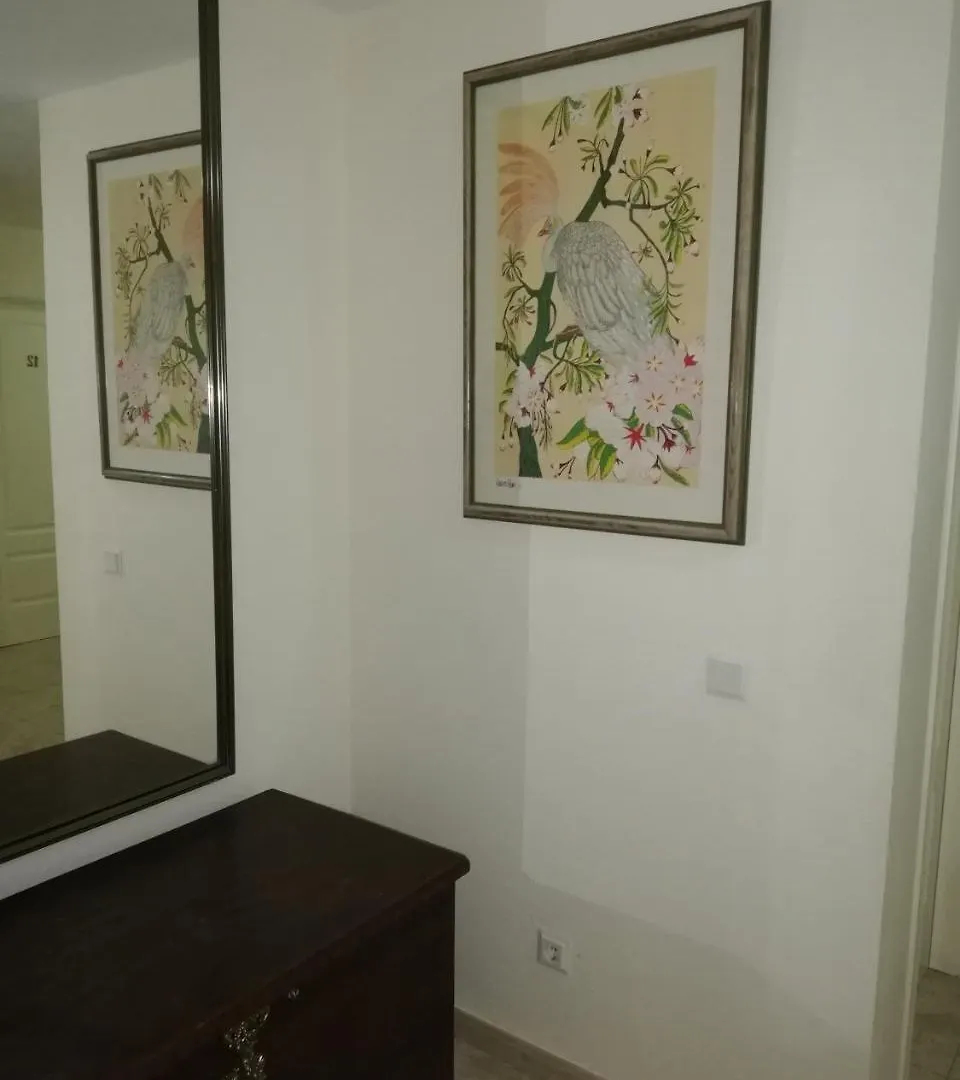 Hostal Galea Centro San Pedro de Alcantara
